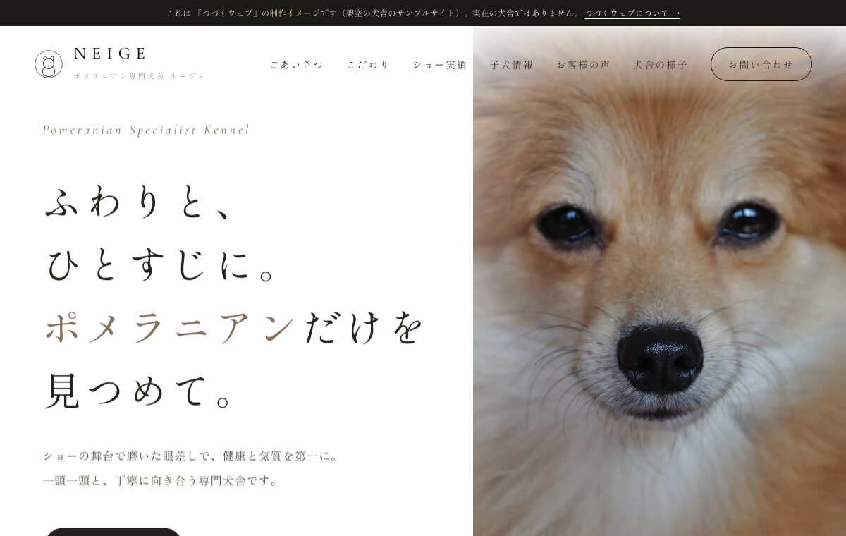 ポメラニアン専門犬舎のサンプルサイト（複数ページ・白基調のラグジュアリーデザイン）